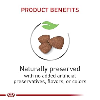 Royal Canin Small Puppy Dry Dog Food - Size Health Nutrition, 2.5 lb Bag