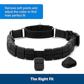 PetSafe Soft Point Training Collar - Large, Black, No Pull