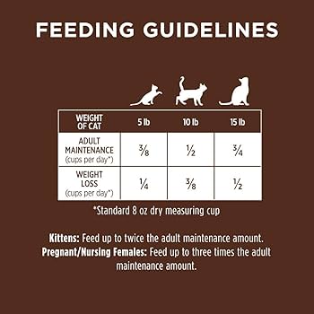 Nature's Variety Instinct Original Grain-Free Real Chicken Dry Cat Food, 5 lb Bag