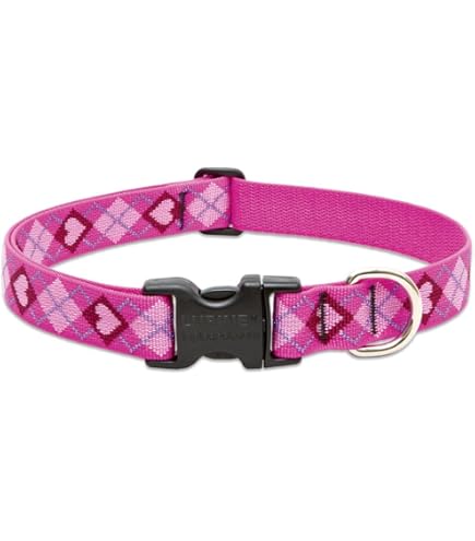LupinePet Originals 1" Dapper Dog Adjustable Collar, 16-28" - For Large Dogs