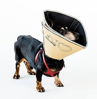 All Four Paws Comfy Cone Pet Recovery Collar - Tan - Small/Long - S/L - Dog & Cat E-Collar