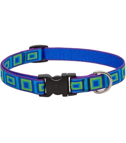 LupinePet Originals 3/4" Rain Song Dog Collar, Adjustable 13-22"