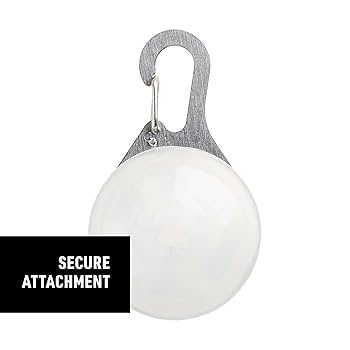 Nite Ize SpotLit Rechargeable Dog Collar Light - Disc-O Tech, Carabiner Clip, Adjustable Brightness, Waterproof