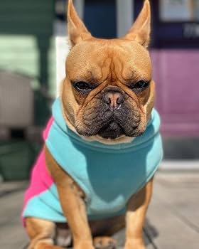 Gooby Half Stretch Fleece Vest Dog Sweater - Pink, X-Large