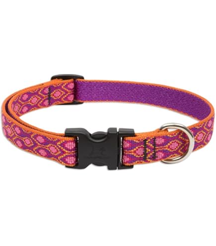 LupinePet Originals 1" Alpen Glow Dog Collar, Adjustable 16-28"