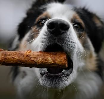 Fieldcrest Farms Nothin' to Hide Beef Rolls - Small, 5 inch, 2 Pack - Rawhide Alternative Dog Chews