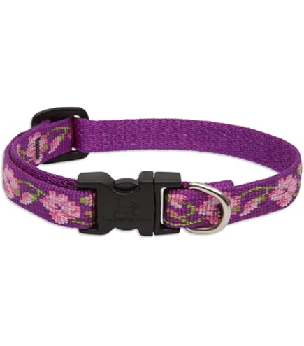 LupinePet Originals 1/2" Jelly Roll Adjustable Dog Collar, 8-12" Neck