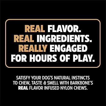 Pet Qwerks BarkBone Dinosaur Bacon Flavored Nylon Dog Chew Toy