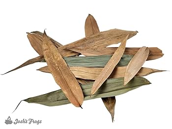 Josh's Frogs Dried Bamboo Leaves - Terrarium Leaf Litter - 10 Count