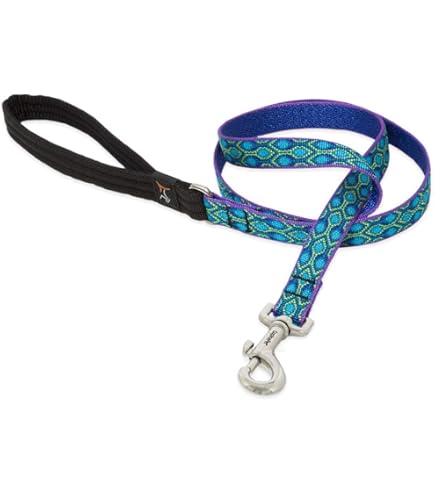 LupinePet Originals Dog Leash, Rose Garden, 3/4 inch x 6 ft, Padded Handle, for Medium/Large Dogs