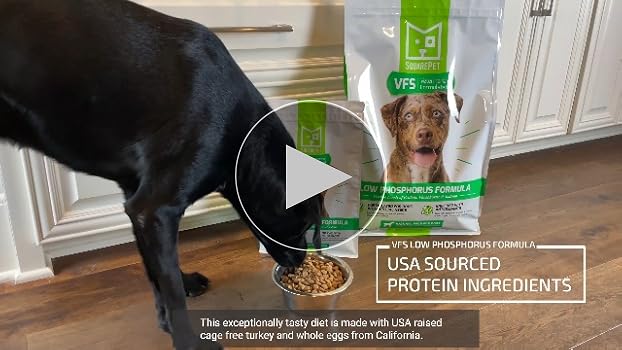 SquarePet VFS Low Phosphorus Dog Food, Turkey & Egg, 22lb (10kg) - Kidney Support Formula