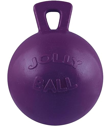 Jolly Pets Tug-N-Toss Dog Toy - Purple, 8 inch, Large, Heavy Duty Ball with Handle
