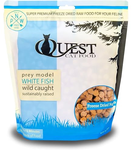 Steve's Real Food Quest Freeze-Dried Pork Cat Food Nuggets, 10 oz