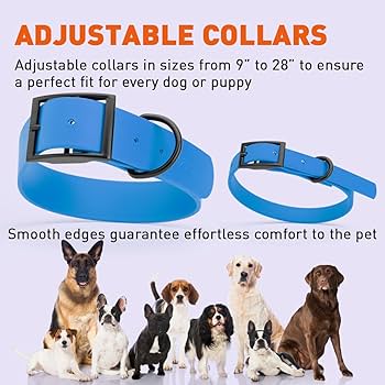 Dogline Biothane Waterproof Dog Collar, XL, Cerulean Blue - Strong, Odor-Proof