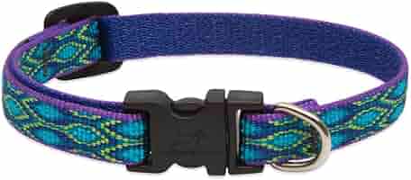 LupinePet Originals Rain Song Dog Collar, 1/2" Wide, 6-9" Adjustable