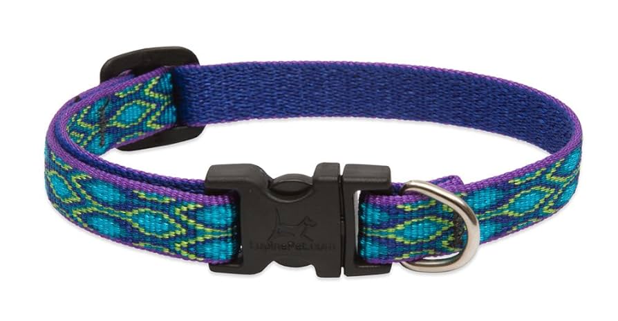 LupinePet Originals Rain Song Dog Collar - 1/2 inch Width, Adjustable 10-16 inch