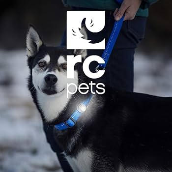 RC Pets Poppin' Light - Dog Collar/Leash Accessory - Grey/White - Visibility Light