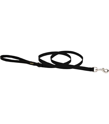 LupinePet Originals 1/2 inch Alpen Glow 6-foot Dog Leash with Padded Handle