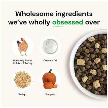 Open Farm RawMix Ancient Grains Open Prairie Recipe Dry Dog Food, 20lb