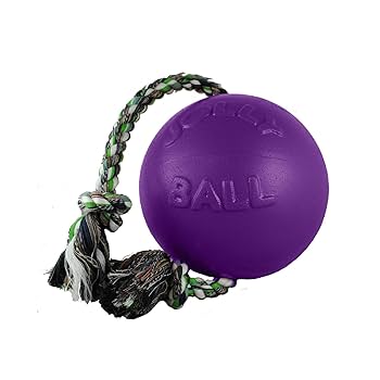 Jolly Pets Romp-N-Roll Dog Toy - 8 inch, Purple, with Rope, Durable Ball