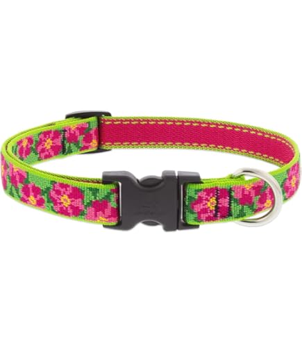 LupinePet Go Go Gecko Dog Collar, Adjustable 9-14 inch