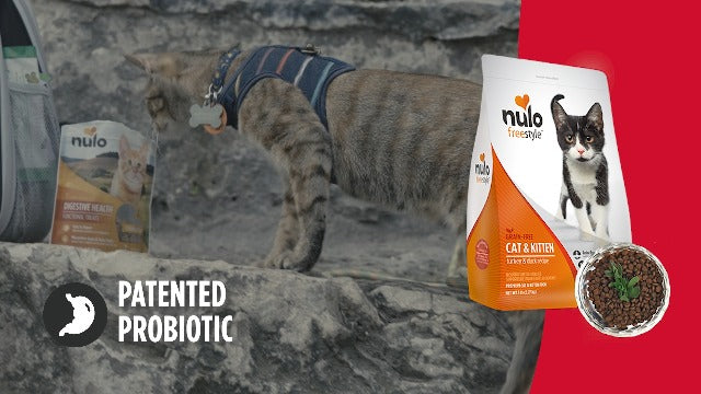 Nulo Freestyle Dry Cat Food - Duck and Lentils Recipe, Grain-Free, Indoor, 2 lb