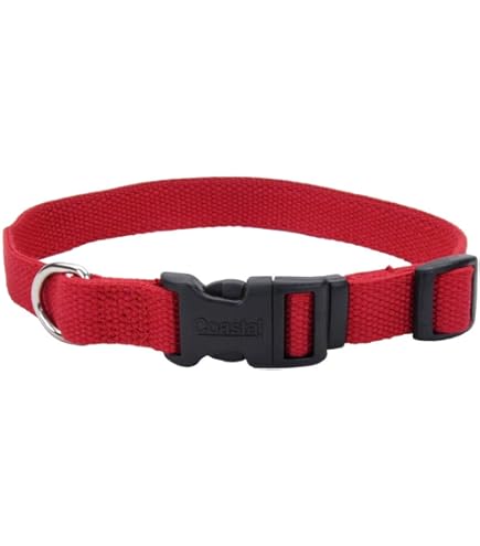 Coastal Pet Tuff Buckle Adjustable Nylon Dog Collar, Blue, 3/8" x 8-12", Extra Small