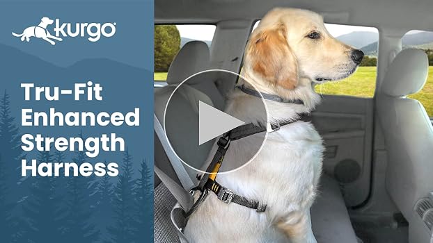 Kurgo Tru-Fit Enhanced Strength Dog Car Harness, Medium, Black - Crash Tested