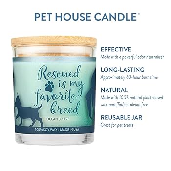 Pet House Year Round Sentiments Candle - Ocean Breeze - 9 oz Pet Odor Eliminator