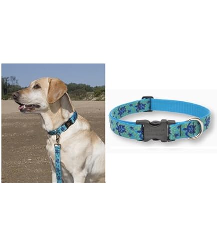 LupinePet Originals 1" Turtle Reef 6-Foot Padded Handle Dog Leash - Medium/Large Dogs