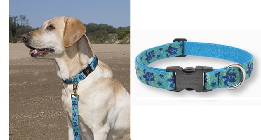 LupinePet Originals 1" Turtle Reef Adjustable Dog Collar, 12-20"