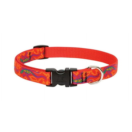 LupinePet Go Go Gecko Dog Collar, Adjustable 9-14 inch