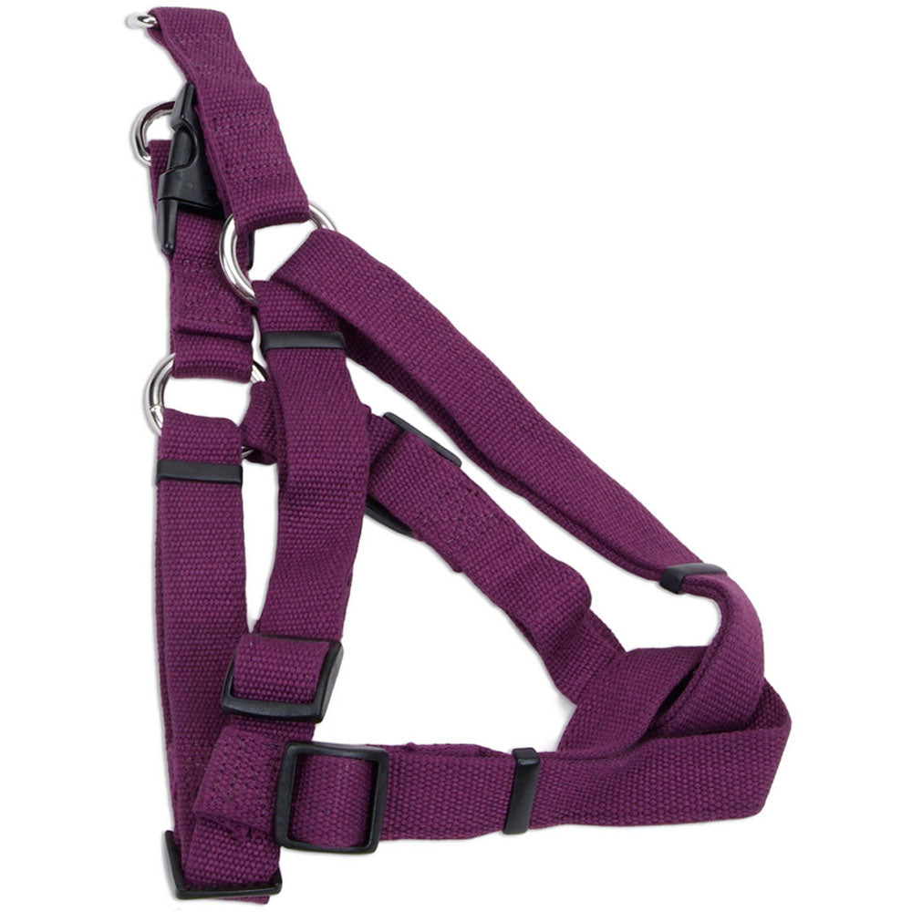 Coastal 5/8" Comfort Wrap Dog Collar - Eggplant Purple