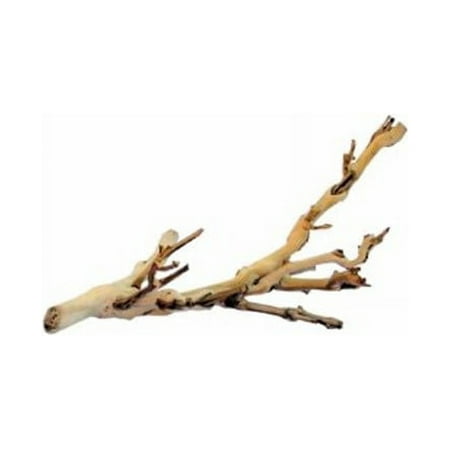 Exo Terra Forest Branch Small - Reptile Terrarium Decor