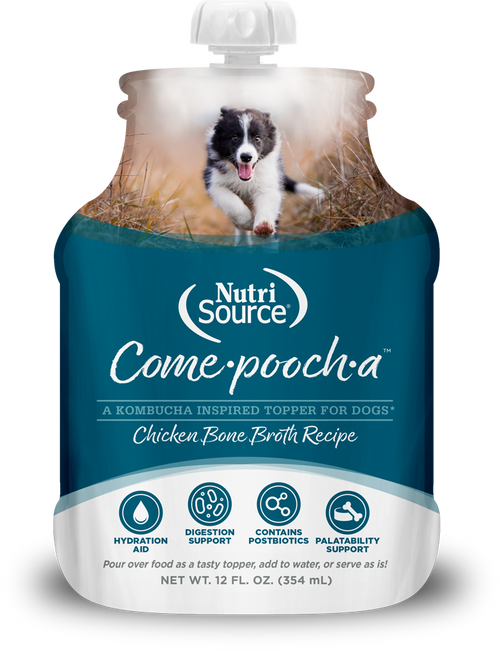 Stashios Soothing Sauce Calming Chicken Bone Broth Recipe - Anxiety Relief for Pets