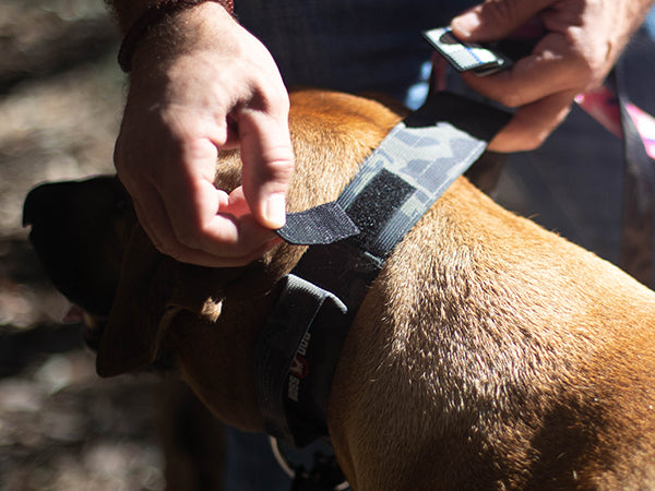 Boss Dog Tactical Collar Patch - Stealth USA Flag - Hook-Backed Rubber Patch