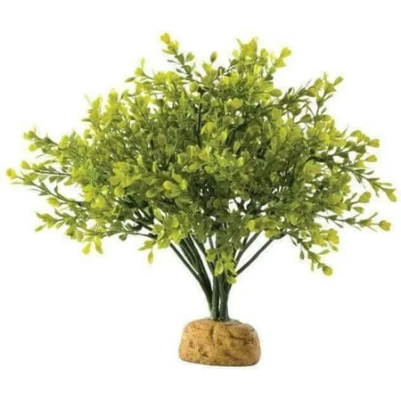Exo Terra Boxwood Bush - Artificial Terrarium Plant - PT2994