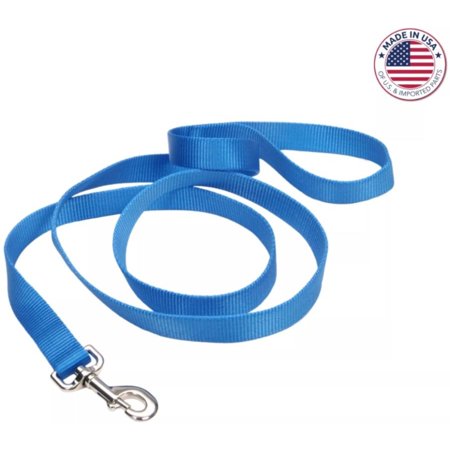 Coastal Pet Products 5/8 Inch Nylon Lead 4 Feet Blue Lagoon