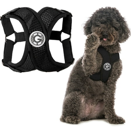 Gooby Comfort X Step-in Harness - Choke Free Small Dog Harness - Black - X-Large