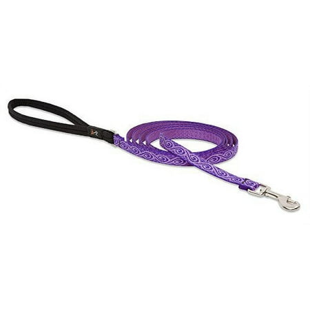 LupinePet Originals Jelly Roll Dog Leash, 1/2 inch x 6 ft, Padded Handle