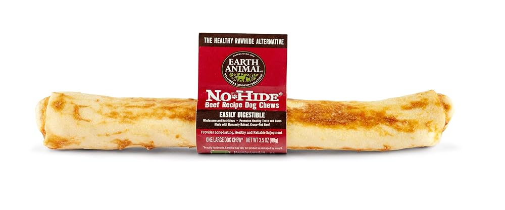 Earth Animal No-Hide Beef Chew - 11 Inch, 3.5oz - Healthy Rawhide Alternative Dog Treat