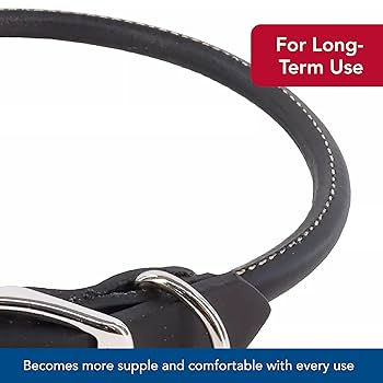 Circle T Leather Round Dog Collar - Black - 5/8 in x 16 in - Oak Tanned