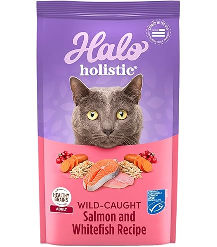 Halo Holistic Wild Caught Salmon & Whitefish Adult Cat Food, Healthy Grains, 3 lb Bag