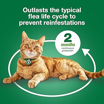 Advantage XD Large Cat Flea Treatment, Over 9 lbs, 2 Doses (4-Month Coverage)