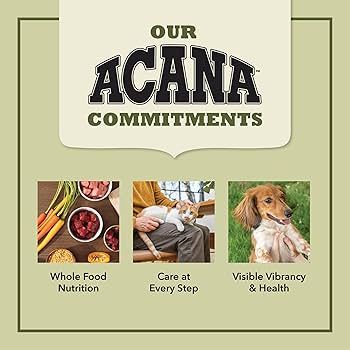 ACANA Senior Entree Dry Cat Food - Chicken & Turkey Recipe for Senior Cats (7+ Years) - 10lb Bag