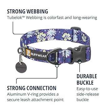 Ruffwear Front Range Dog Collar - Wildflower - 20-26" - Adjustable, Reflective, Durable