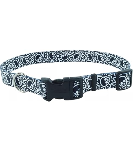 Coastal Pet Li'l Pals Adjustable Dog Collar - Blue - 3/8" x 6"-8" Small Dog Puppy Nylon Collar