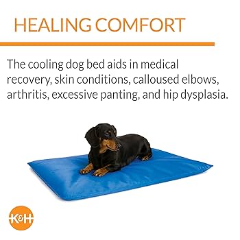 K&H Pet Products Cool Bed III - Small Blue Cooling Pad 17" x 24"