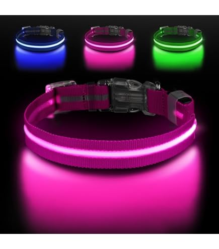 Coastal Pet USB Light-Up Dog Neck Ring, 24 Inch, Orange, Rechargeable