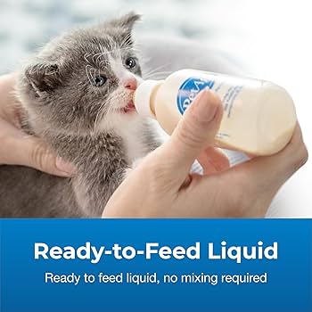 PetAg Goat's Milk KMR Kitten Milk Replacer Liquid - 11 oz Easy to Digest Formula
